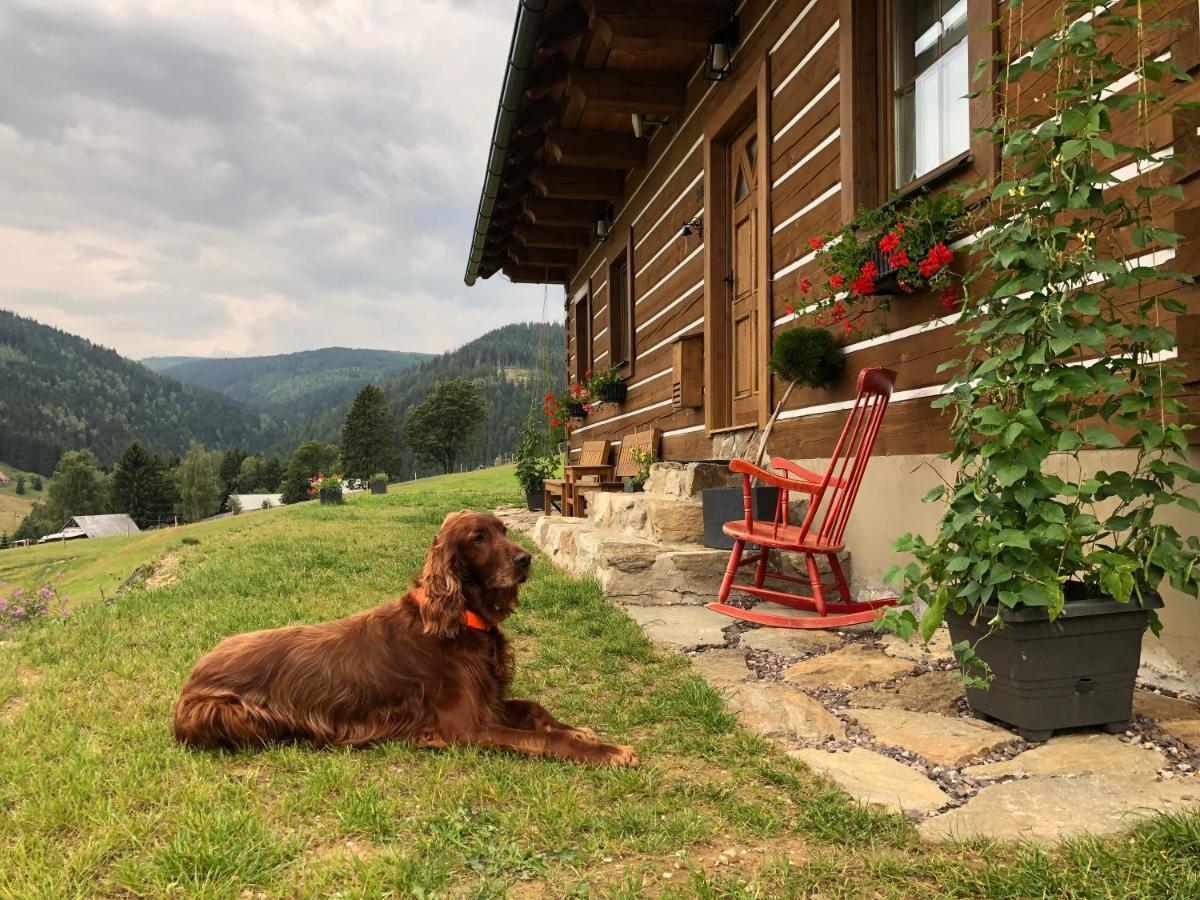 Apartman U Setra ペツ・ポト・スニェシュコウ エクステリア 写真